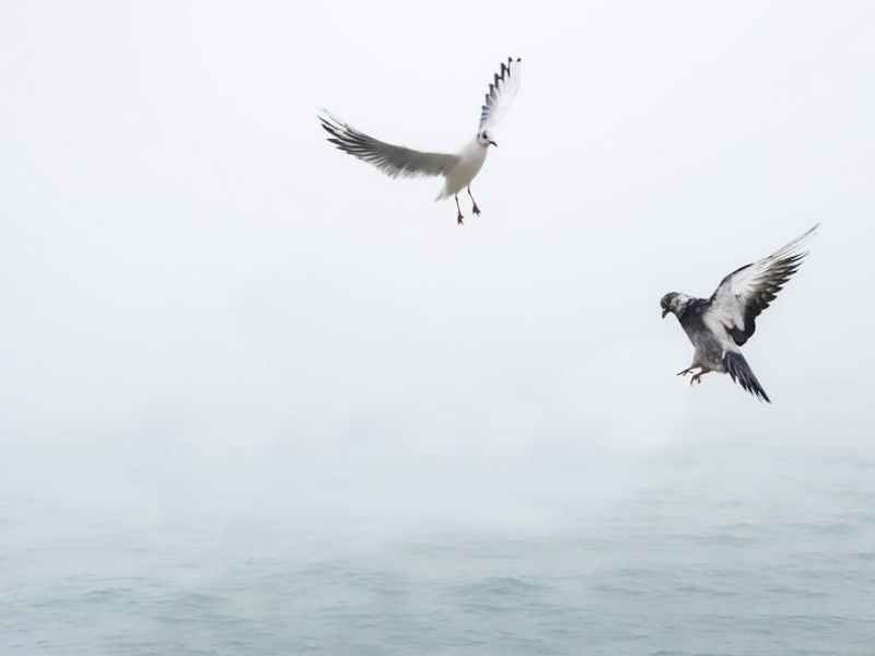 The Power of Simplicity in Design: Why Less Truly Is&nbsp;More